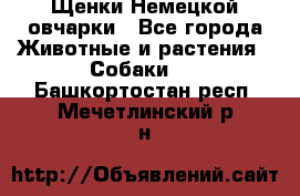 Щенки Немецкой овчарки - Все города Животные и растения » Собаки   . Башкортостан респ.,Мечетлинский р-н